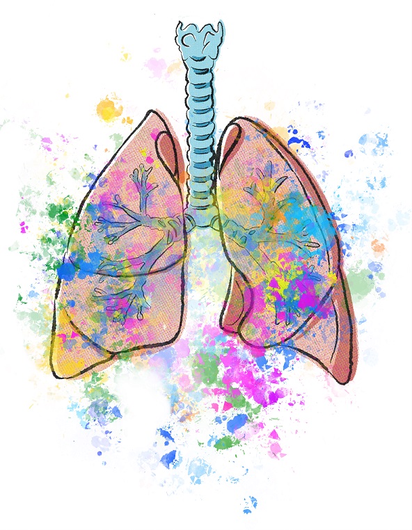 Tyylitelty piirroskuva keuhkoista